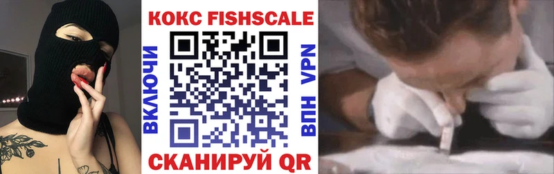 Купить где  Тара  Кокаин Эквадор 