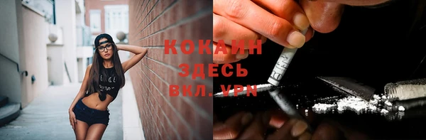 крисы Краснослободск