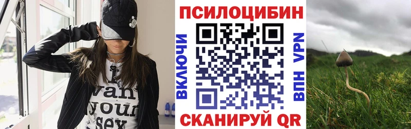 Псилоцибиновые грибы Psilocybine cubensis  Купить где  Тара 